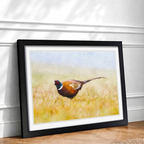 Pheasant bird framed wall - pheasant,