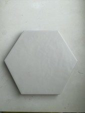 Unused Hexagon White Matte