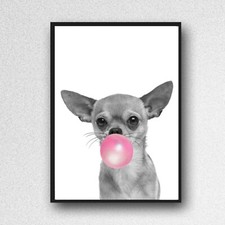 chihuahua dog print PICTURE