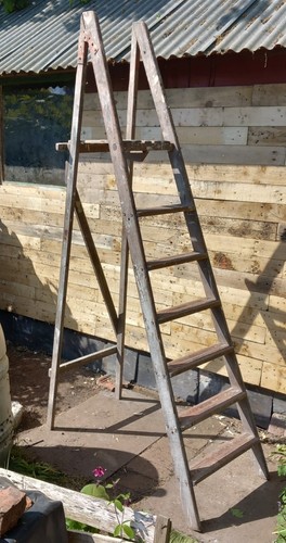 Vintage wooden rung ladder - vintage,
