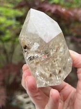 Large Brazilian Champagne