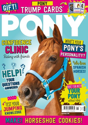 Horse rider pony - horse,