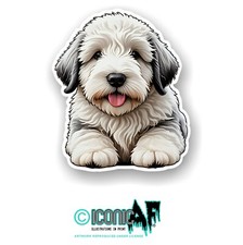 Cute Old English Sheep Dog