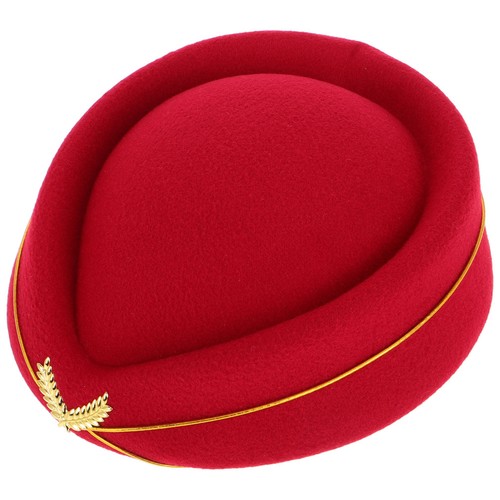Air hostess costume - costume, accessory