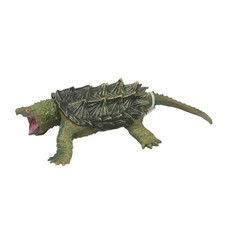 Snapping Turtle Model Ealry