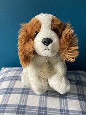 King Charles Spaniel Puppy Dog