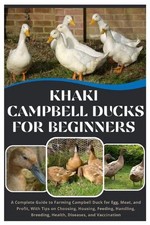 Khaki Campbell Ducks for
