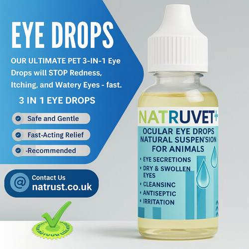 Dogs eye drops large - 30, ml
