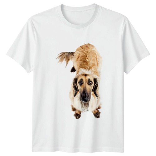 Afghan hound dog shirt - afghan,