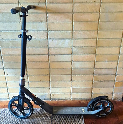 Frenzy 250 folding commuter - frenzy,