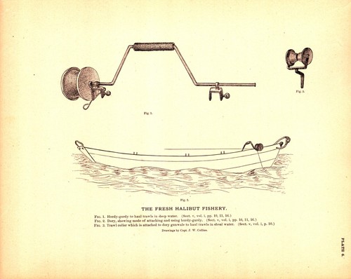 Hurdy gurdy dory boat - boat,, fresh