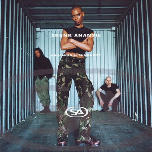 Skunk anansie paranoid and - anansie,