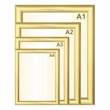 Gold Snap Frames Poster Clip