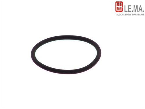 Gasket seal fits iveco - iveco, daily