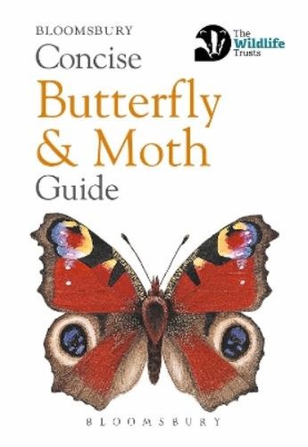 Concise butterfly and moth - butterfly,