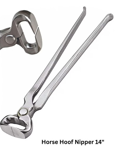 Horse hoof nipper - horse, farrier