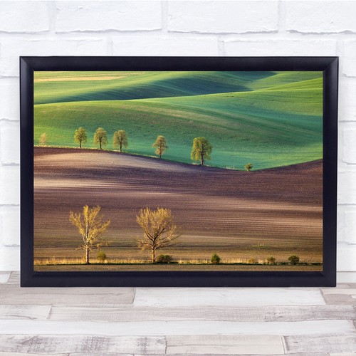 Trees moravia czech - trees,