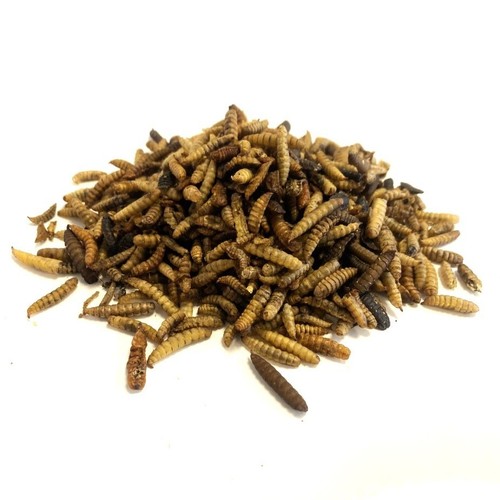 Dried calciworms 5kg wild - 5kg,