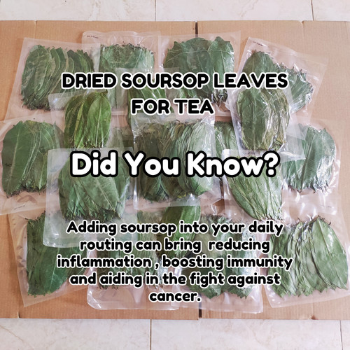 Dried soursop graviola - dried,