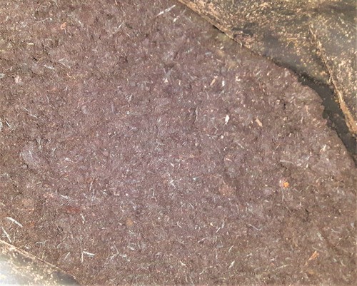 Ericaceous compost low for - compost,