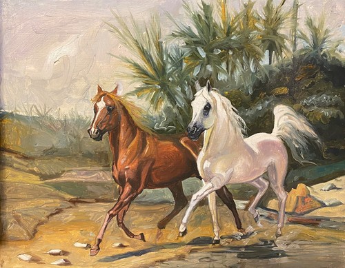 Arab horses brothers - horses,
