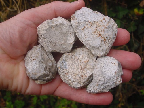 Five neolithic flint - neolithic, pot