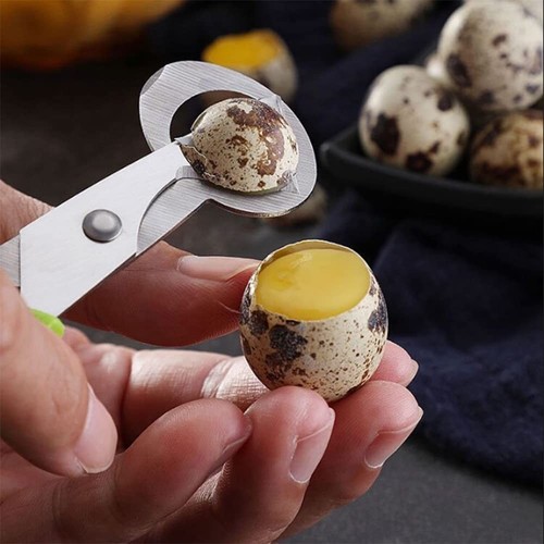 Quail egg scissors high - egg, scissors,