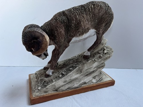 Chrisdon bighorn sheep - chrisdon,