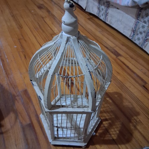Antique bird cage painted and - bird,