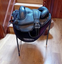 Torsion treeless saddle large size with black Equitex pad and black Wintec girth