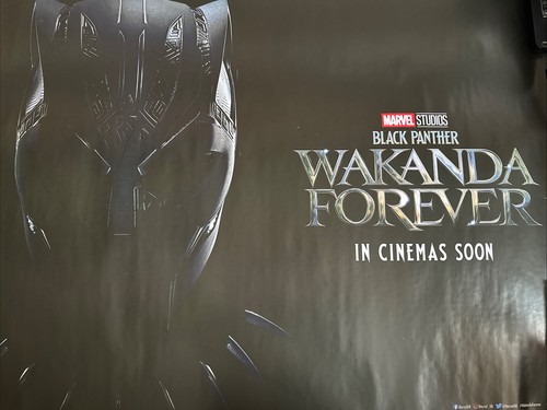Black panther wakanda forever - panther:,
