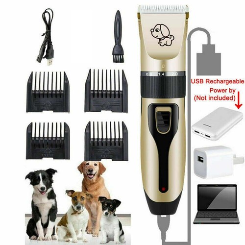 New cat dog pet hair - pet,
