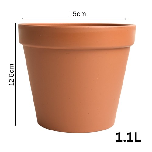 Round plant pot planter - plant,