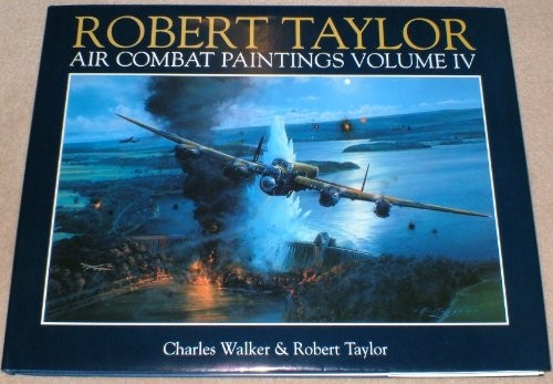 Air combat paintings robert - combat,