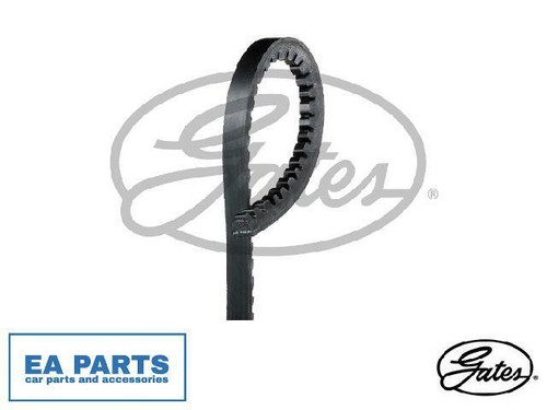 Belt for caravelle t4 - t4, bus