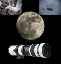 Amazing Canon EF Fit 800mm
