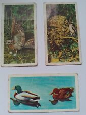 Brook Bond Tea picture cards...British Birds part set...used condition