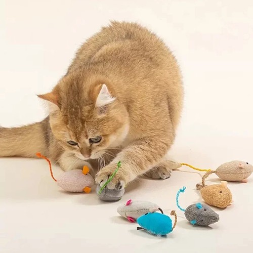 Catnip toys for cats kittens - cats, &