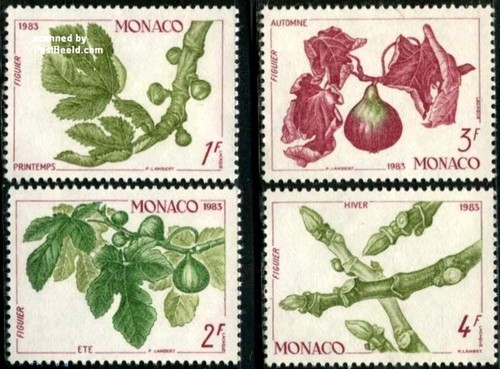 Monaco 1983 fruit fig tree - monaco,
