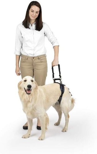 Solvit carelift rear - rear-only, dog