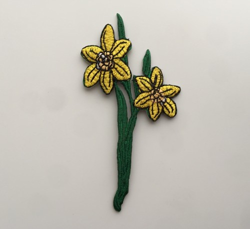 Yellow daffodil flower - yellow,