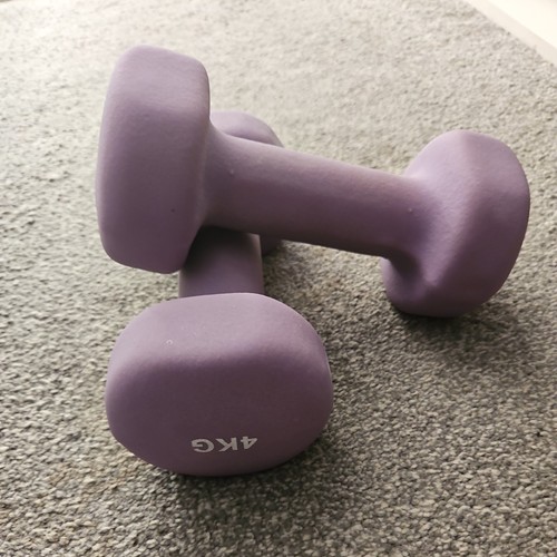Weights purple 4kg dumbells - weights,