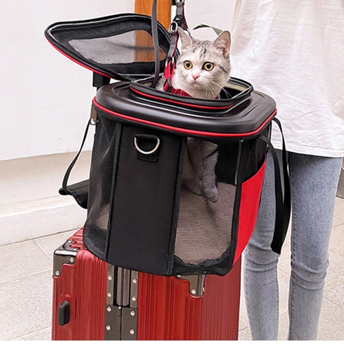 Pet trolley case dog - case, cat