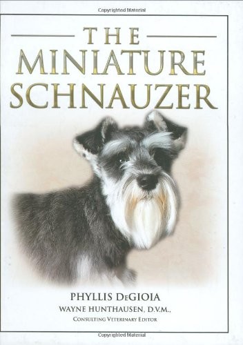 The miniature schnauzer - the,
