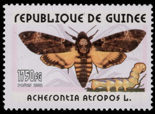 Guinea republic 3442 african - 3442,