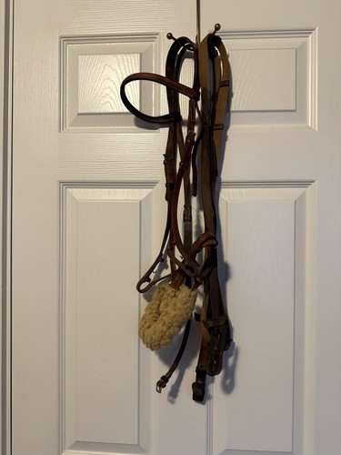 Horse size leather - , schooling