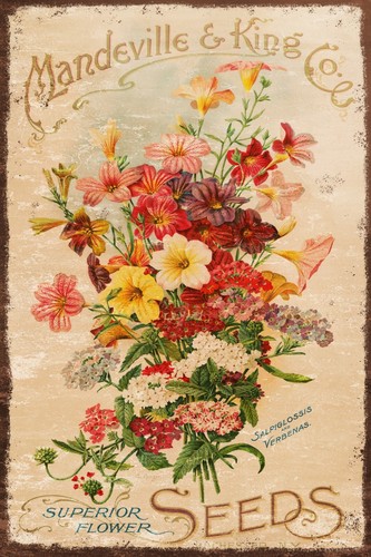 Pretty floral seed catalogue - pretty,