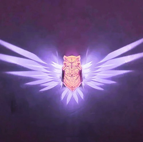 Owl wall light cover - owl,
