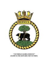 HMS Berwick Embroidered Patches