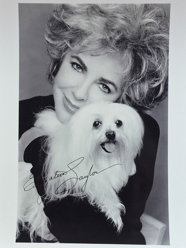 Elizabeth taylor 20x25cm - elizabeth,